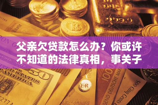 武汉父亲欠贷款怎么办？你或许不知道的法律真相，事关子女未来