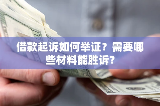 武汉借款起诉如何举证？需要哪些材料能胜诉？