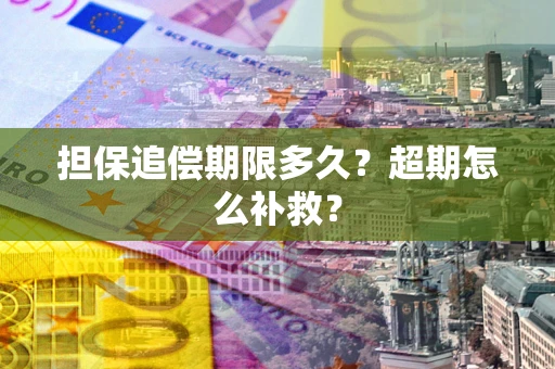 武汉担保追偿期限多久？超期怎么补救？