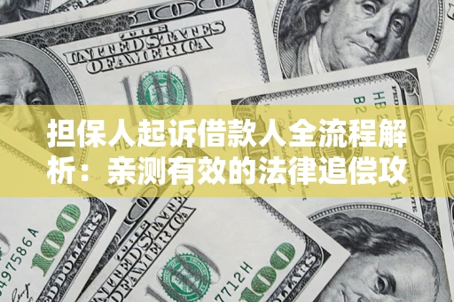 武汉担保人起诉借款人全流程解析：亲测有效的法律追偿攻略
