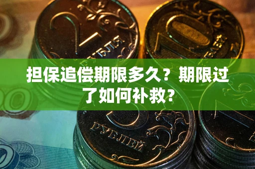 武汉担保追偿期限多久？期限过了如何补救？