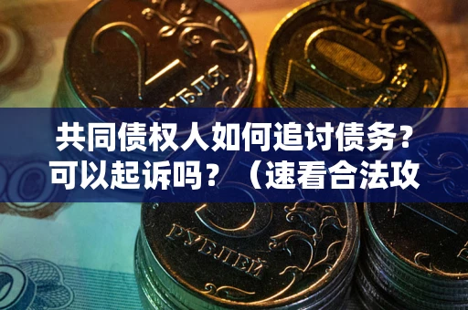 武汉共同债权人如何追讨债务？可以起诉吗？（速看合法攻略）