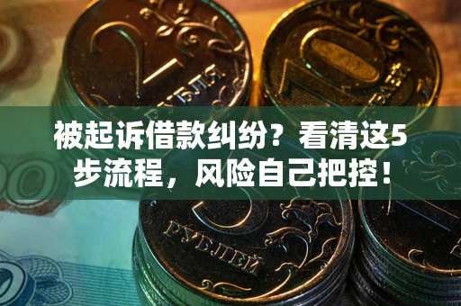 武汉被起诉借款纠纷？看清这5步流程，风险自己把控！