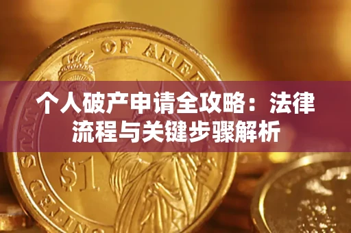 武汉个人破产申请全攻略：法律流程与关键步骤解析