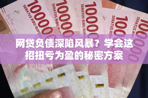 武汉网贷负债深陷风暴？学会这招扭亏为盈的秘密方案