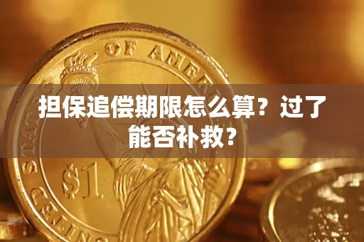武汉担保追偿期限怎么算？过了能否补救？